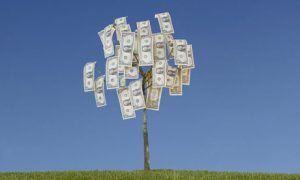 Charlottesville Social Services Food Stamps Charlottesville Social Services Food Stamps